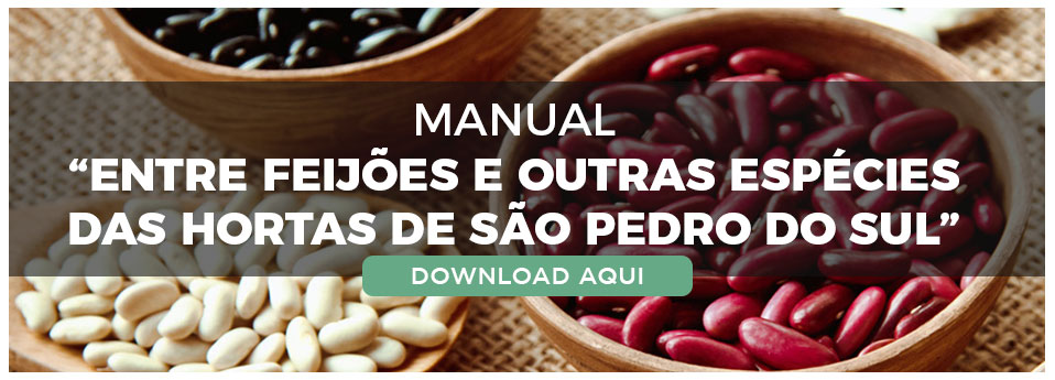 Livro - Manual do Feijo