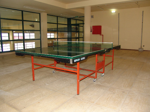 Mesa de Ping Pong - Viver Bricando