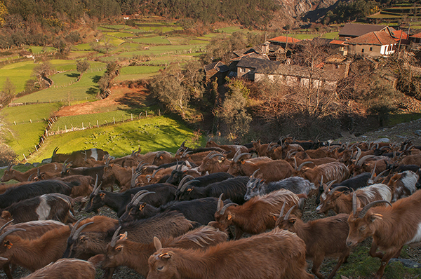 Serra e Aldeias