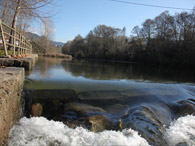 Lenteiro do Rio, S. Pedro do Sul