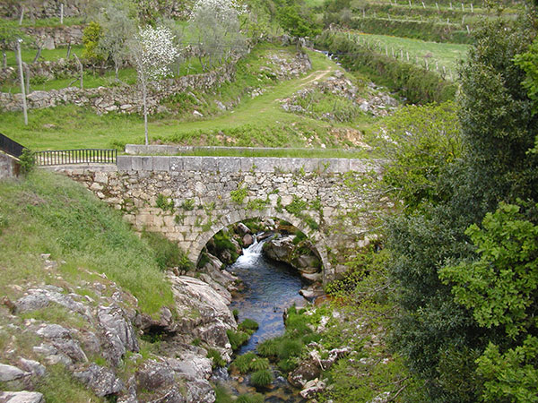 Patrimnio S. Pedro do Sul