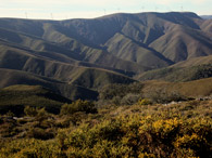 Serra da Arada