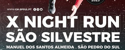 Faltam 3 meses....X Corrida S. Silvestre Manuel dos Santos Almeida
