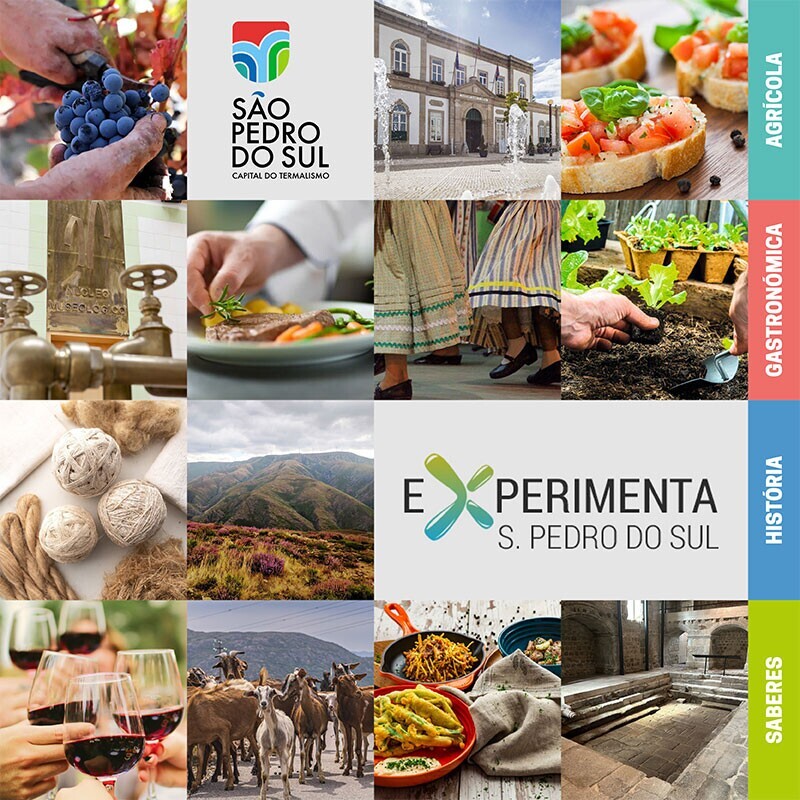 Experimenta_S&atilde;o_Pedro_do_Sul