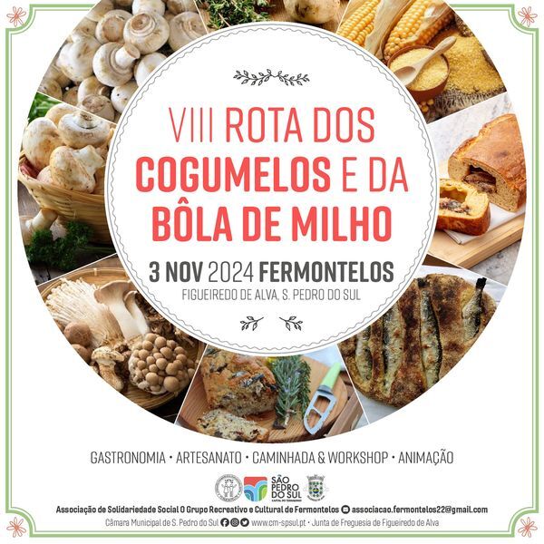 8rotadoscogumelo-bola-milho-0